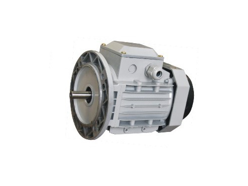 YS90系列三相異步電動(dòng)機(jī)